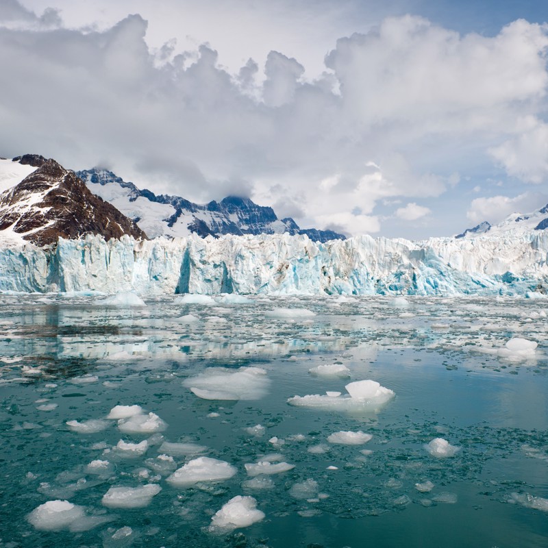 Photo overview of South Georgia and the South Sandwich Islands