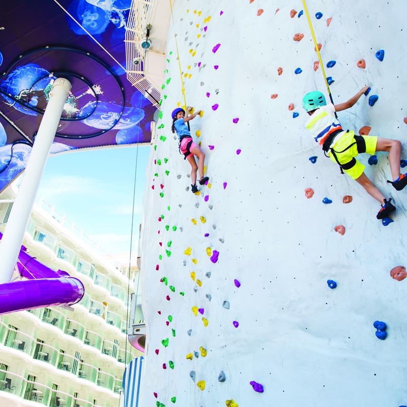 Rock Climbing Wall