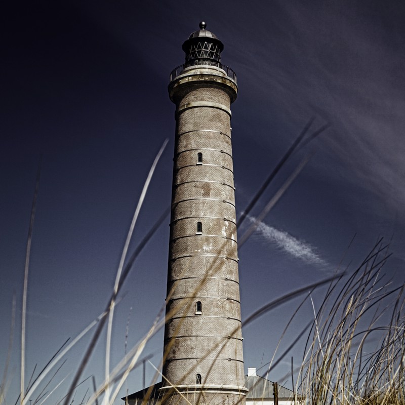 IgluCruise.Application.ViewModels.Shared.WebImageViewModel?.Description