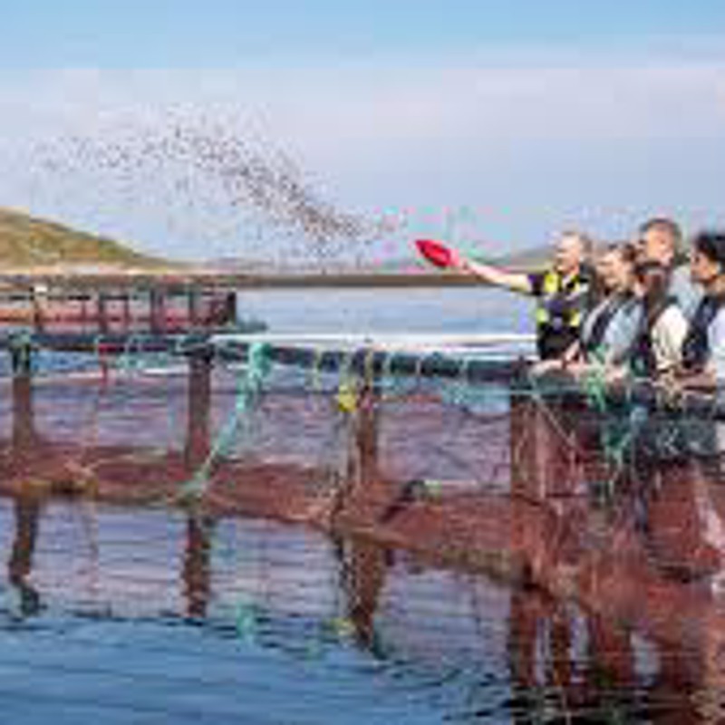 IgluCruise.Application.ViewModels.Shared.WebImageViewModel?.Description