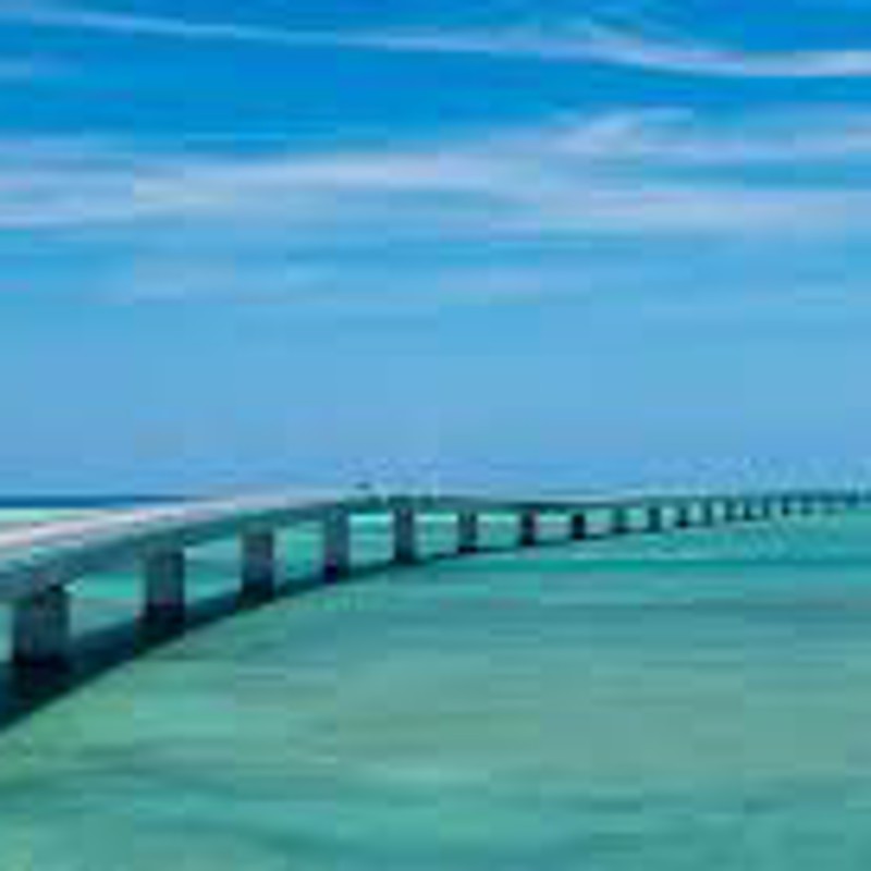 IgluCruise.Application.ViewModels.Shared.WebImageViewModel?.Description
