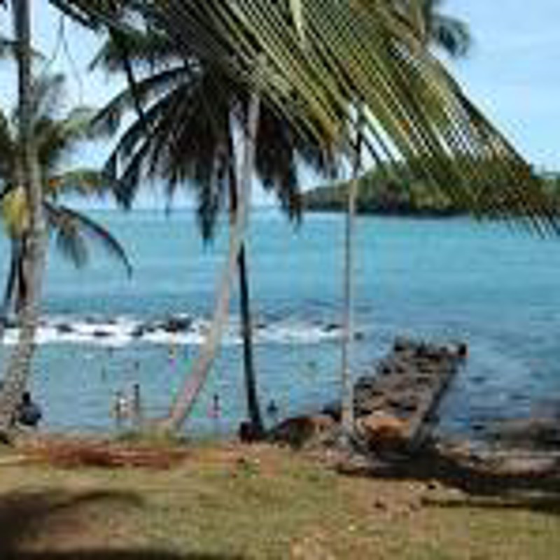 IgluCruise.Application.ViewModels.Shared.WebImageViewModel?.Description