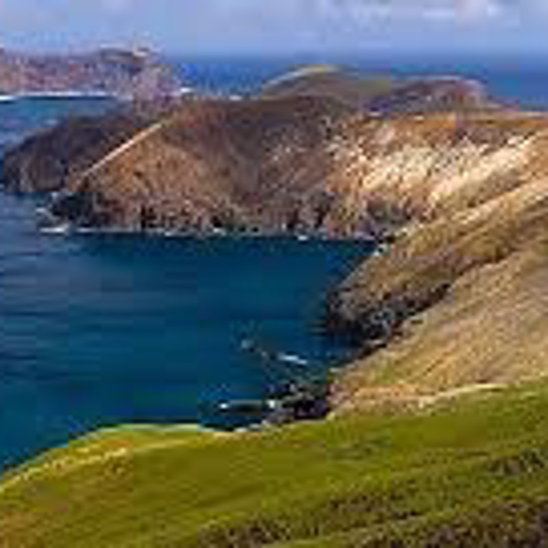 IgluCruise.Application.ViewModels.Shared.WebImageViewModel?.Description