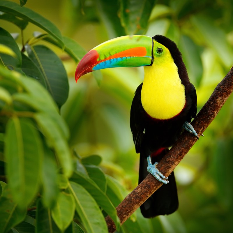 Photo overview of Central America