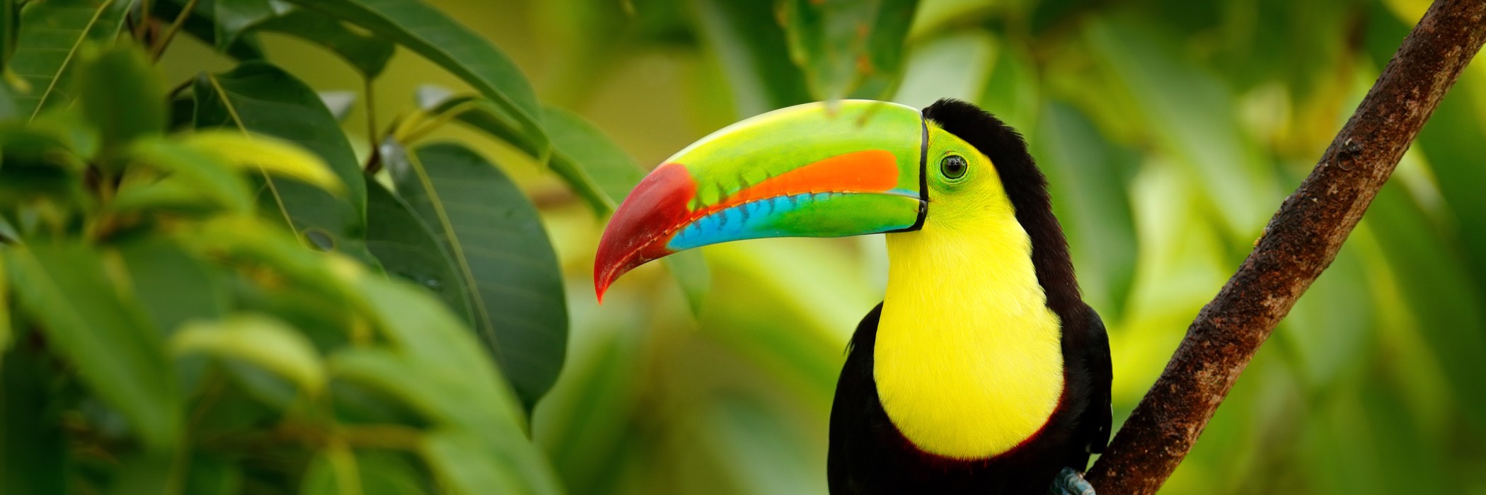 Image related to Central America