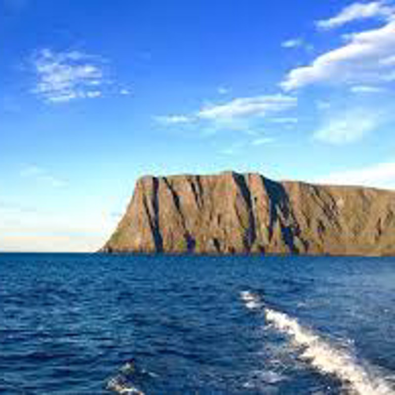 IgluCruise.Application.ViewModels.Shared.WebImageViewModel?.Description