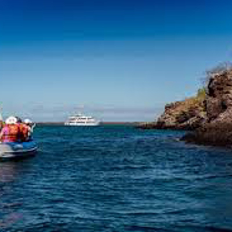 IgluCruise.Application.ViewModels.Shared.WebImageViewModel?.Description