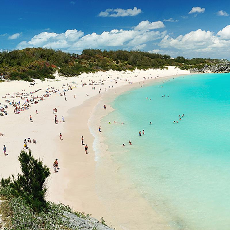 IgluCruise.Application.ViewModels.Shared.WebImageViewModel?.Description