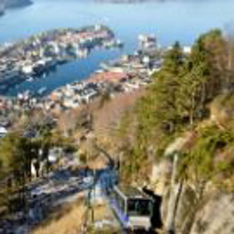 IgluCruise.Application.ViewModels.Shared.WebImageViewModel?.Description