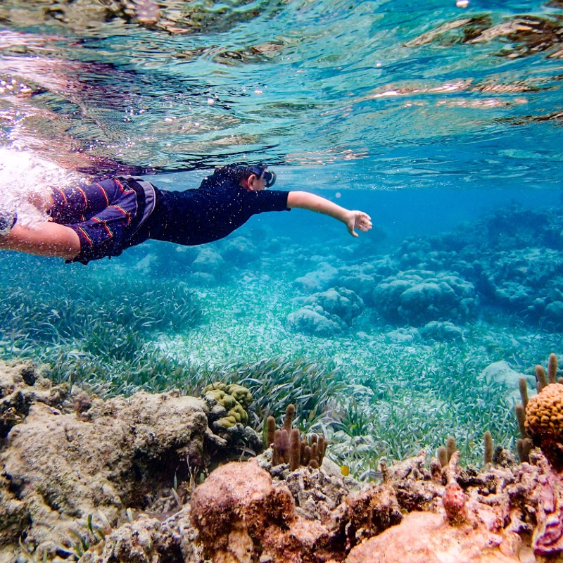 IgluCruise.Application.ViewModels.Shared.WebImageViewModel?.Description