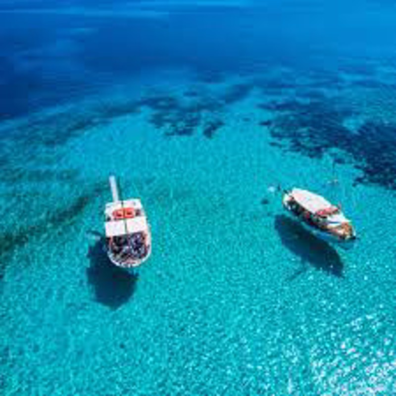 IgluCruise.Application.ViewModels.Shared.WebImageViewModel?.Description