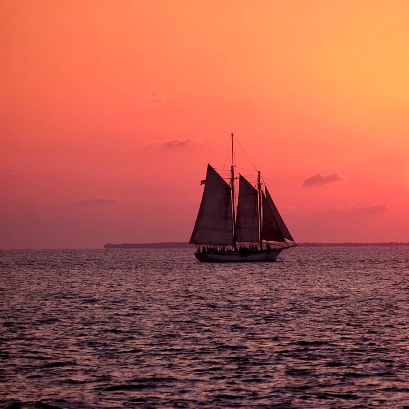 IgluCruise.Application.ViewModels.Shared.WebImageViewModel?.Description