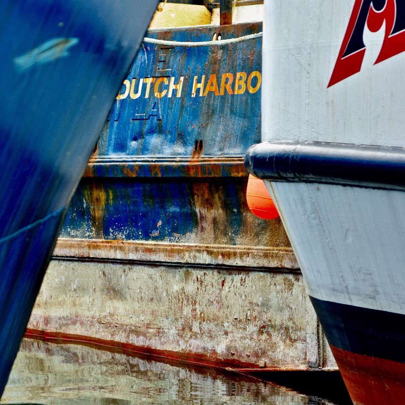 IgluCruise.Application.ViewModels.Shared.WebImageViewModel?.Description