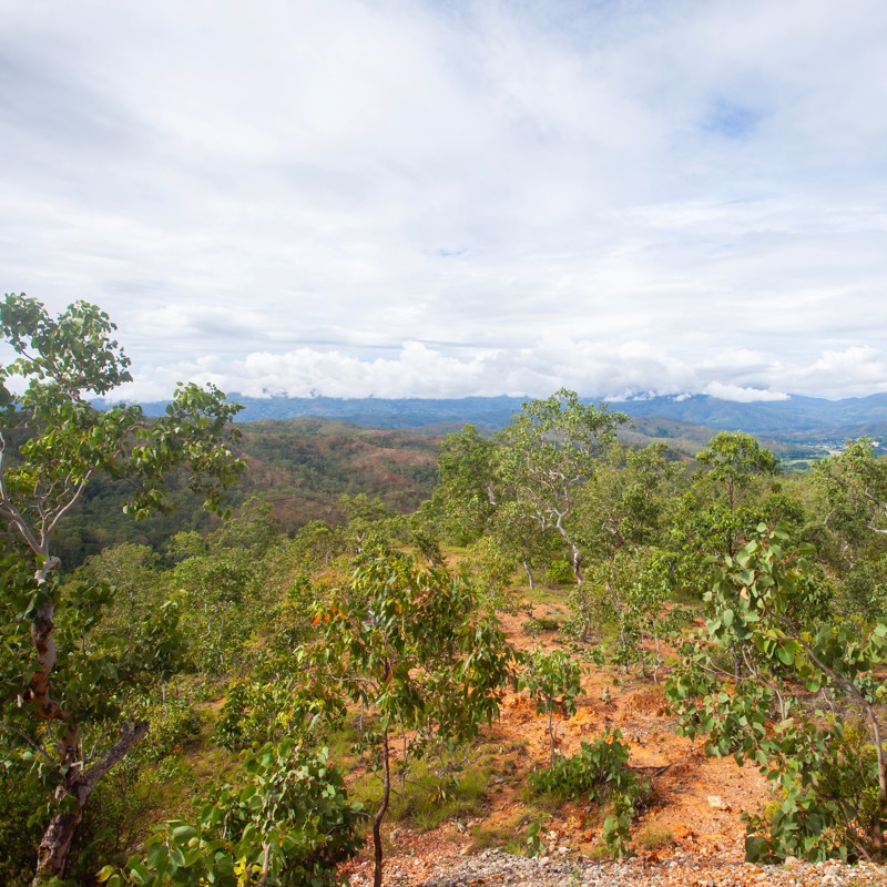 Photo overview of Timor-Leste