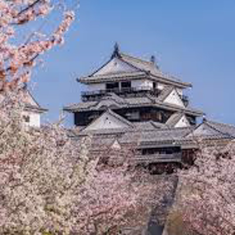 IgluCruise.Application.ViewModels.Shared.WebImageViewModel?.Description