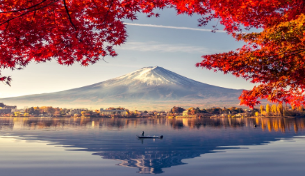 Image related to Cruise & Stay