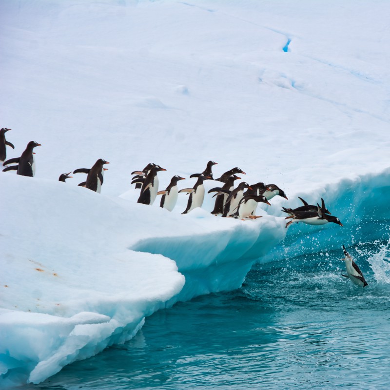 Photo overview of Netherlands Antilles