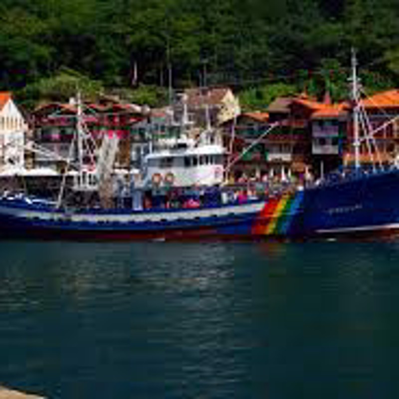 IgluCruise.Application.ViewModels.Shared.WebImageViewModel?.Description