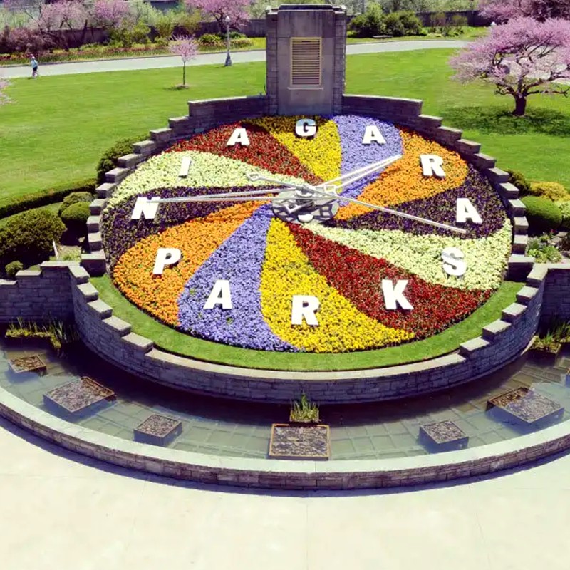 IgluCruise.Application.ViewModels.Shared.WebImageViewModel?.Description