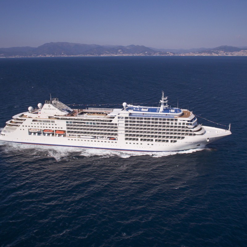 Image related to Silver Muse