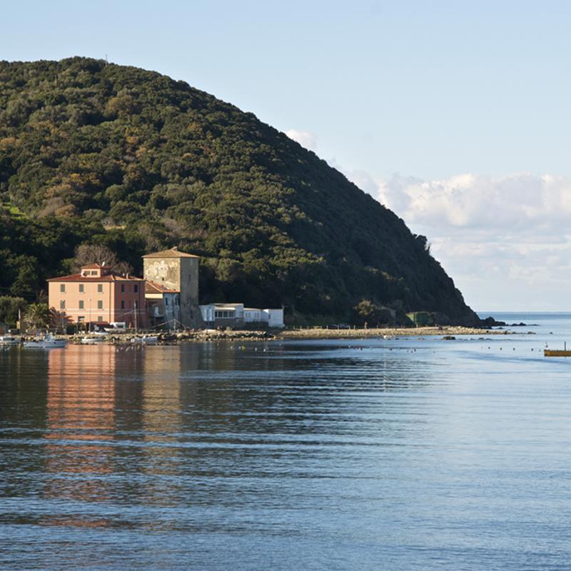 IgluCruise.Application.ViewModels.Shared.WebImageViewModel?.Description