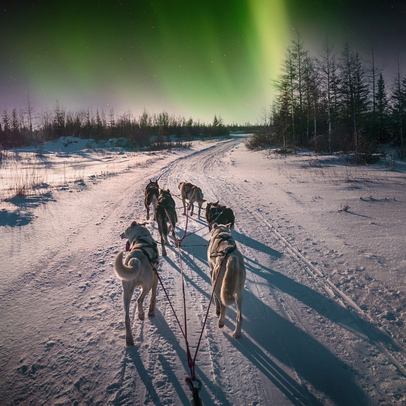Photo overview of Netherlands