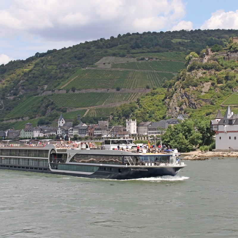 Image related to Avalon Passion