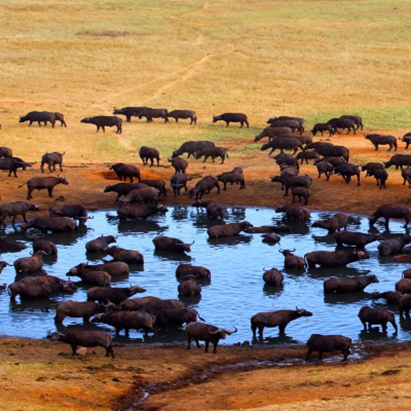 Photo overview of Africa