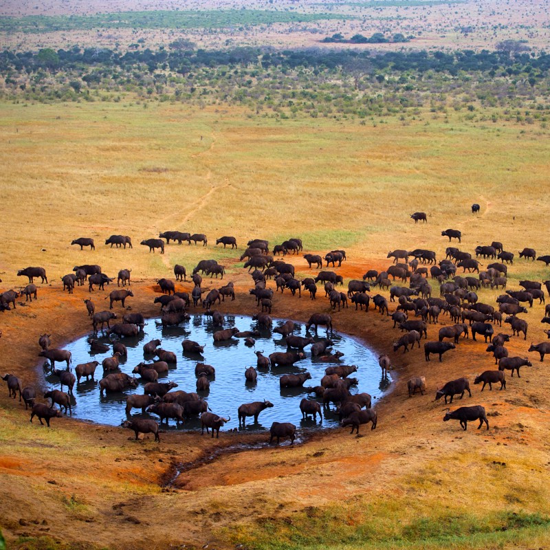 Photo overview of Africa