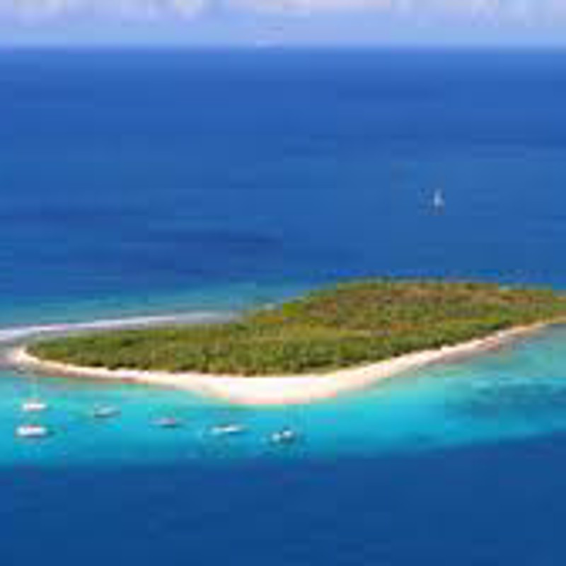 IgluCruise.Application.ViewModels.Shared.WebImageViewModel?.Description