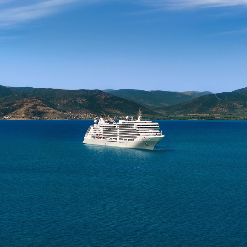 Image related to Silver Muse