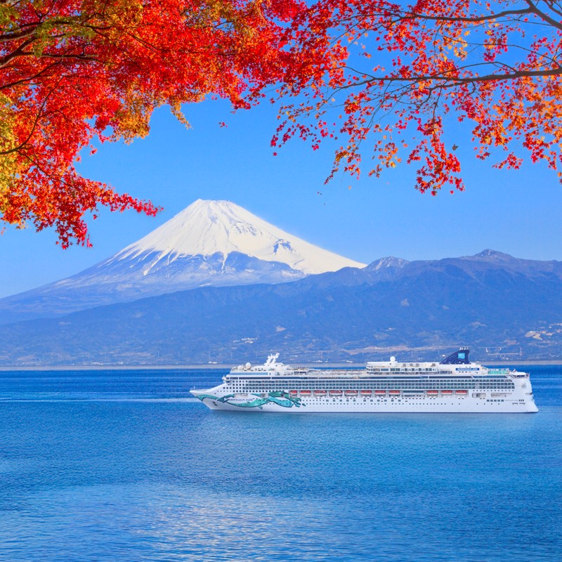 Image related to Norwegian Jade