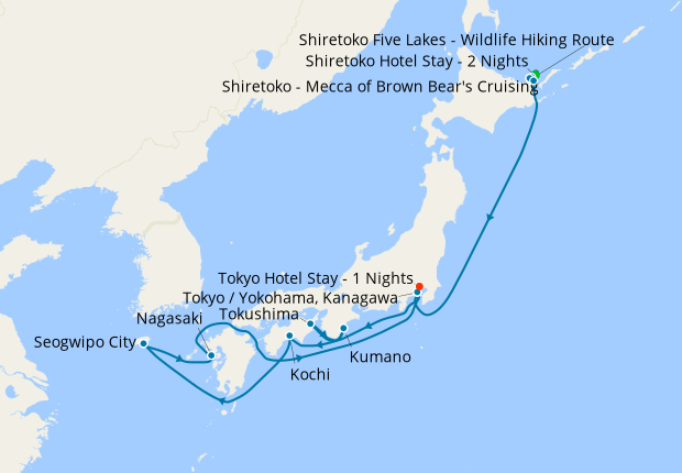 Brown Bears & Sperm Whales Tour & Japan's Kumano Fireworks