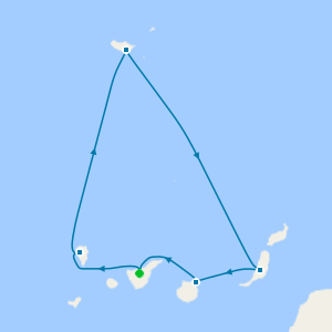 A New Year's Dream from Tenerife