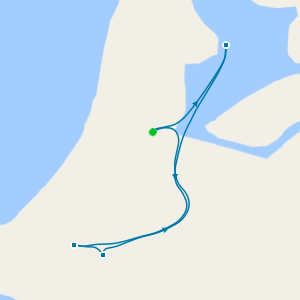 Amsterdam, Kinderdijk & the Dutch Bulbfields