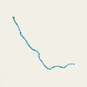 Mistletoe & Rhine from Dusseldorf